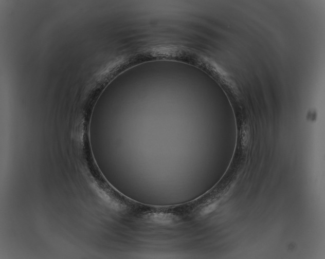X0000091540637200708241734