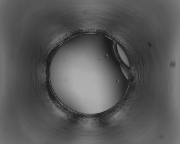 X0000091540638200708241734