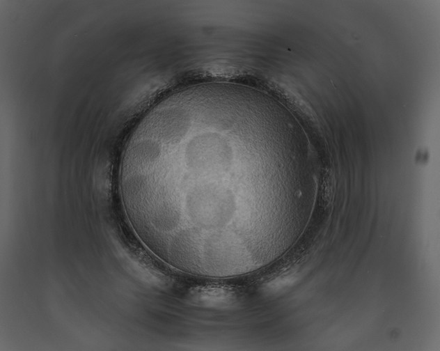 X0000091540639200708241734