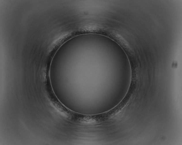 X0000091540640200708241734