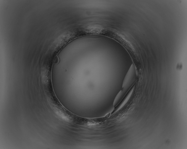 X0000091540641200708241734