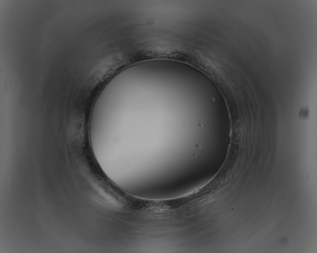 X0000091540642200708241734