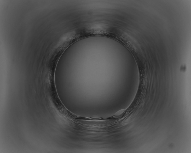 X0000091540643200708241734
