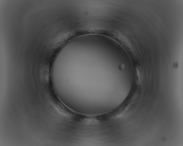 X0000091540644200708241734