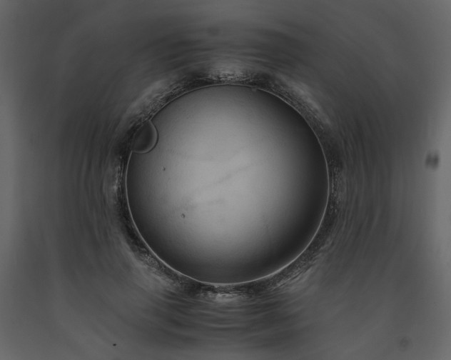 X0000091540645200708241734