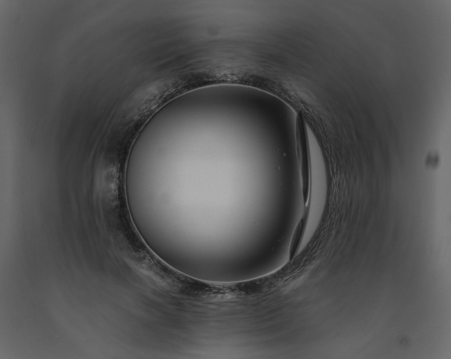 X0000091540646200708241734