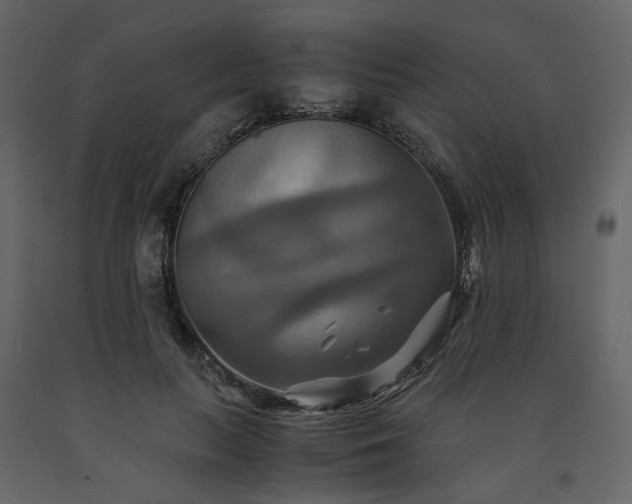 X0000091540647200708241734