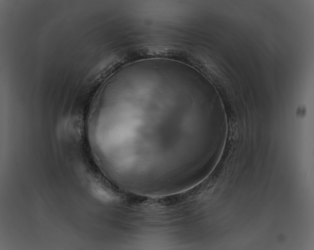 X0000091540648200708241734