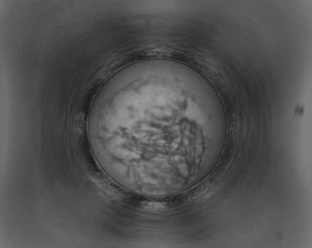 X0000091540649200708241734