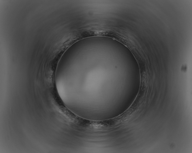 X0000091540650200708241734