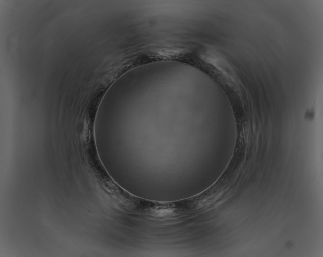 X0000091540651200708241734