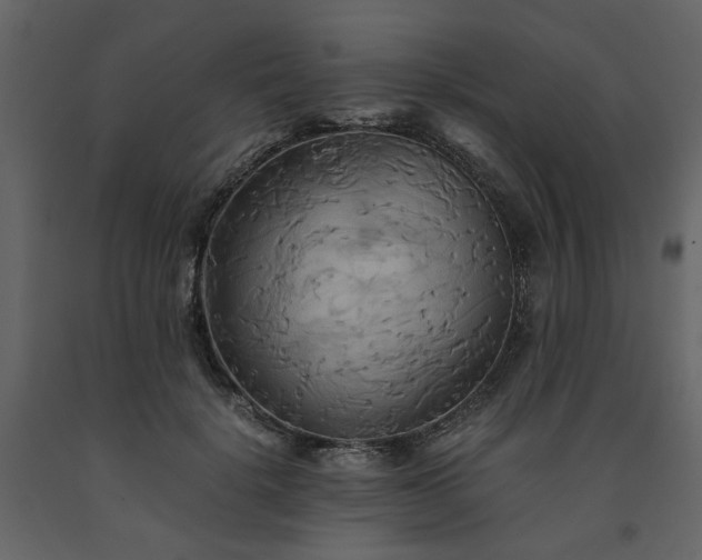 X0000091540652200708241734
