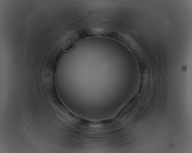 X0000091540653200708241734