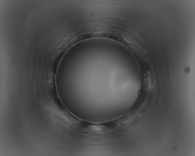 X0000091540654200708241734