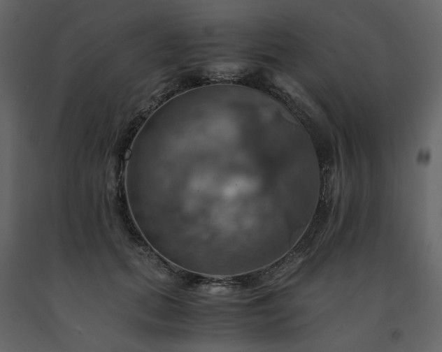 X0000091540655200708241734