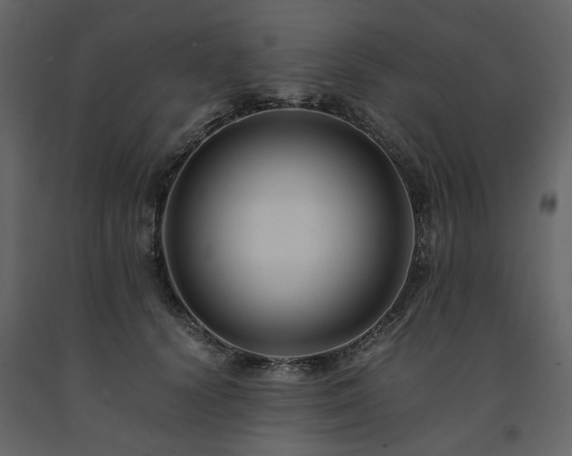 X0000091540656200708241734