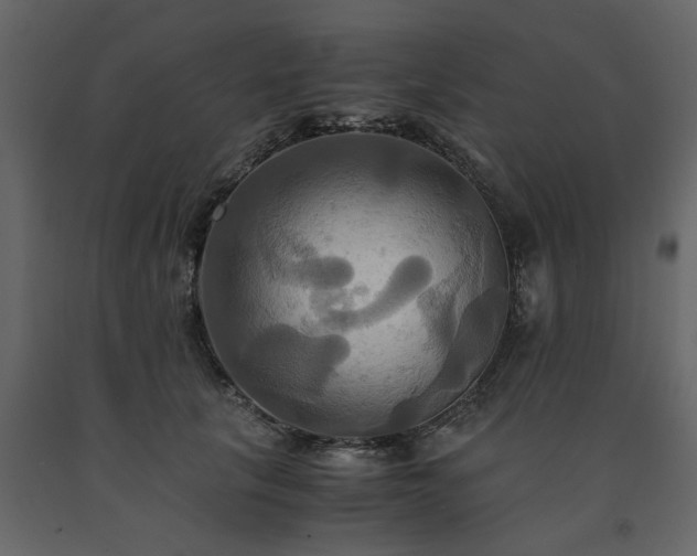 X0000091540657200708241734
