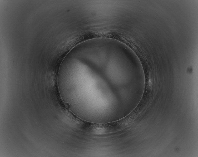 X0000091540658200708241735