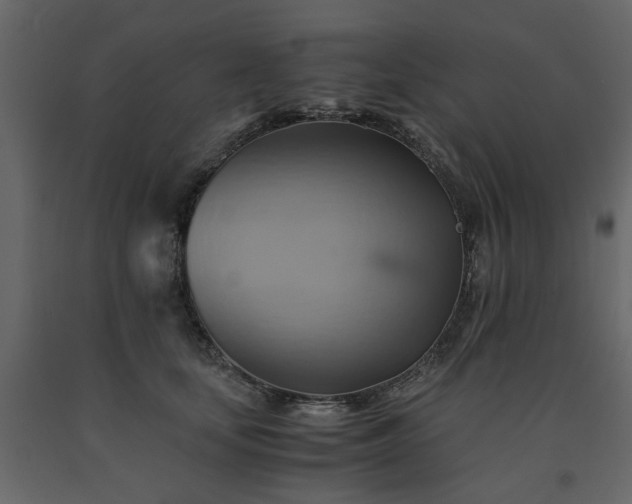 X0000091540659200708241735