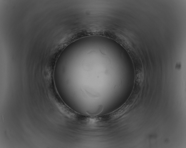 X0000091540662200708241735