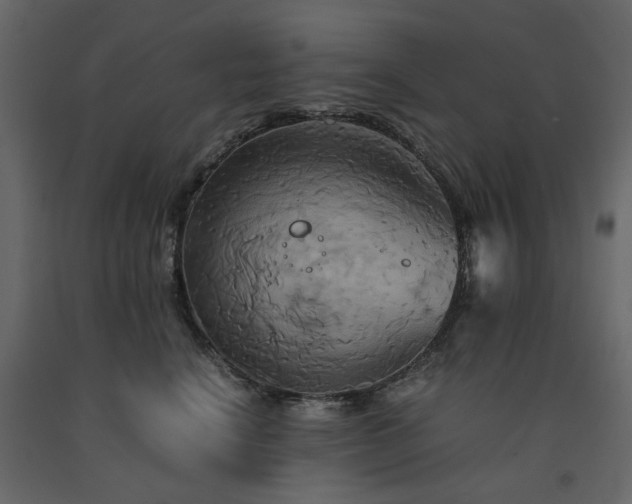 X0000091540664200708241735