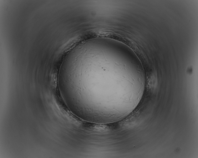 X0000091540666200708241735