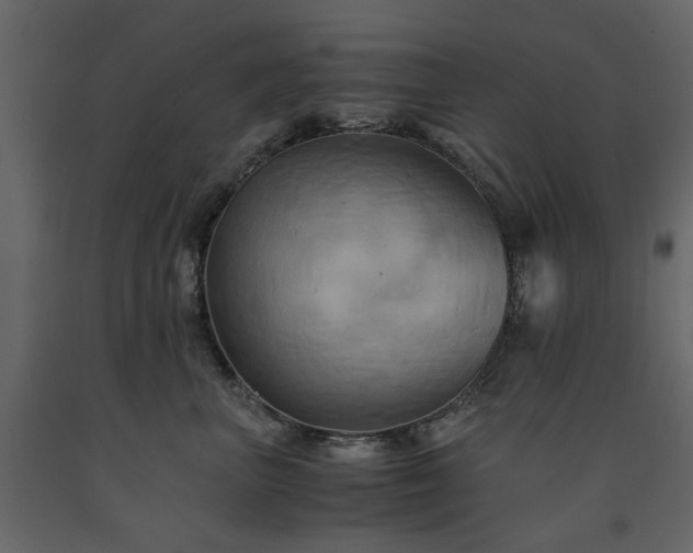 X0000091540667200708241735