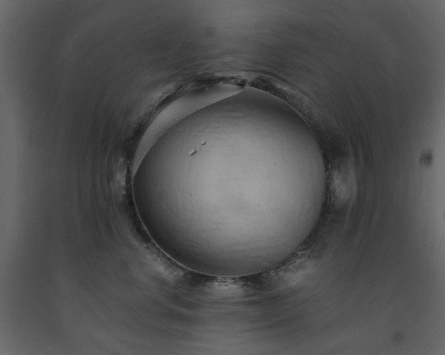 X0000091540668200708241735