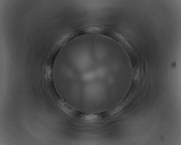 X0000091540669200708241735