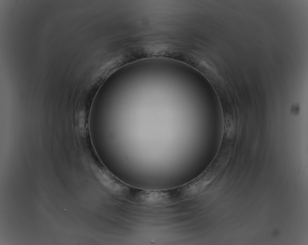 X0000091540670200708241735