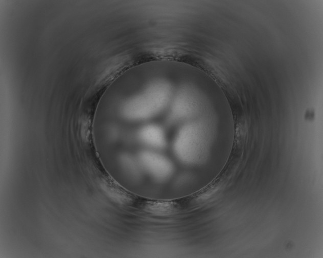 X0000091540671200708241735