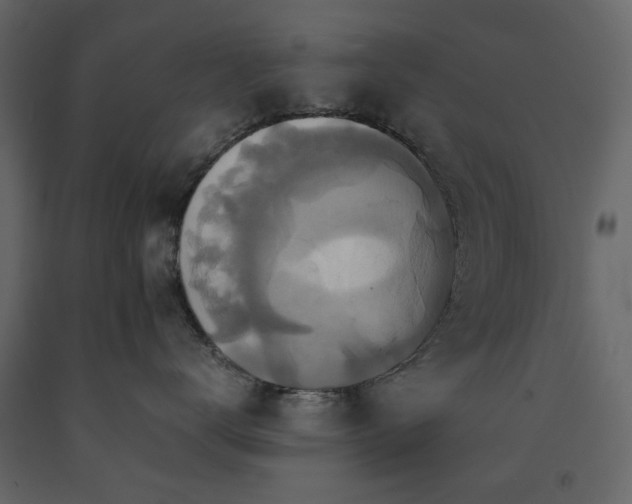 X0000091540672200708241735