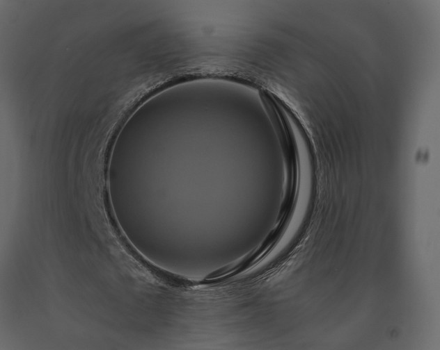X0000091540673200708241734