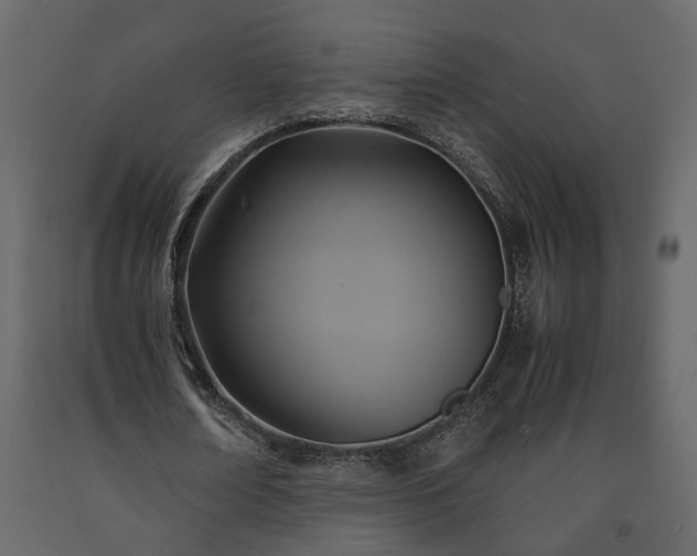 X0000091540674200708241734