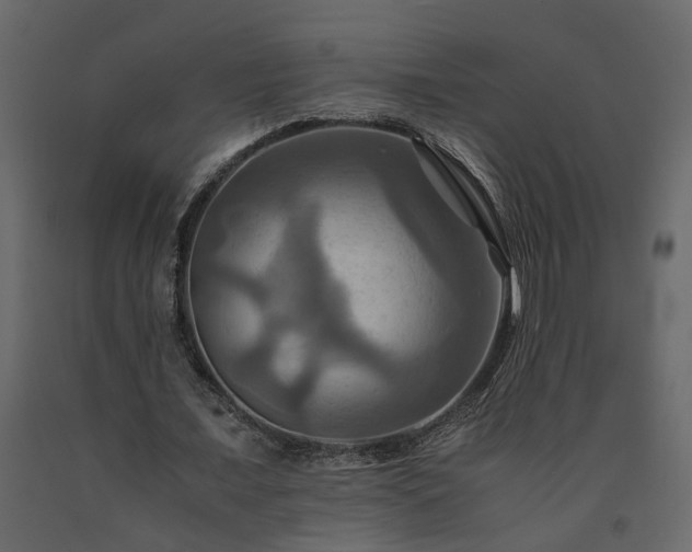 X0000091540675200708241734