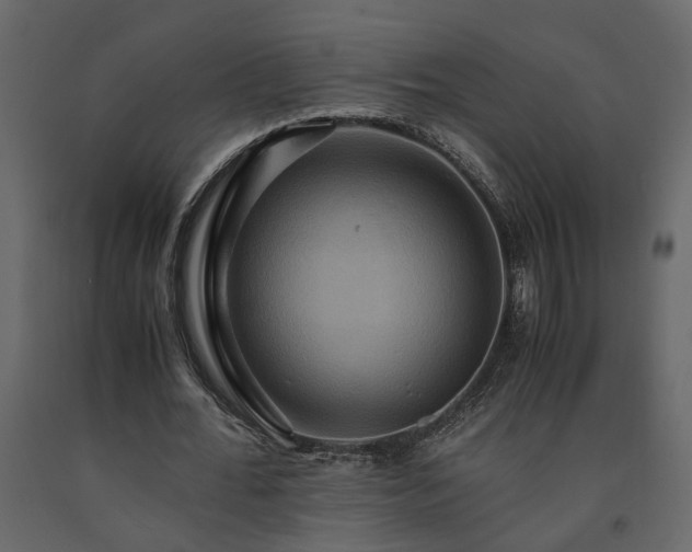 X0000091540676200708241734