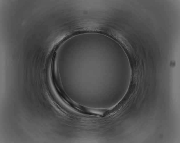 X0000091540677200708241734