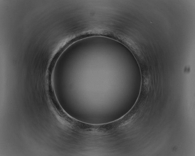 X0000091540678200708241734