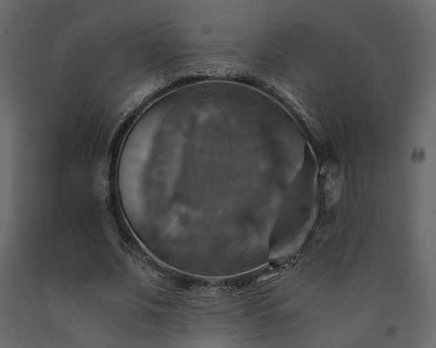 X0000091540679200708241734