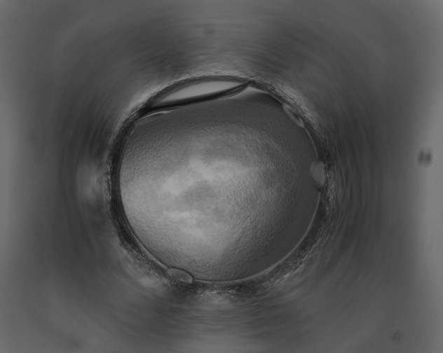 X0000091540680200708241734