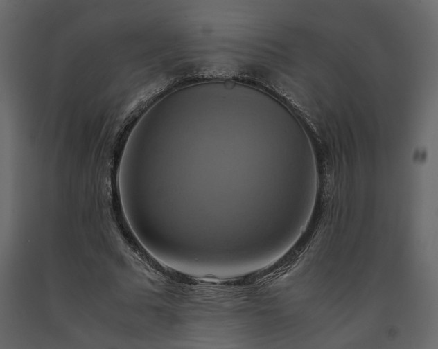 X0000091540681200708241734