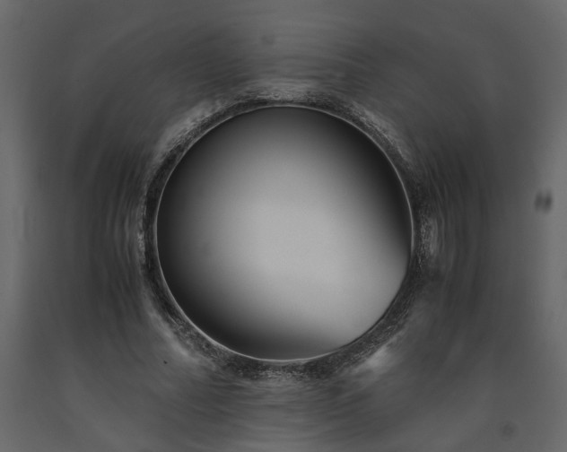 X0000091540682200708241734