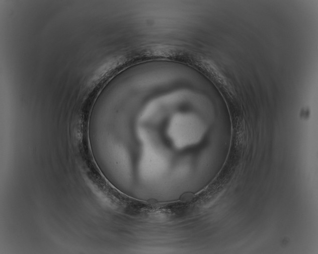 X0000091540683200708241734