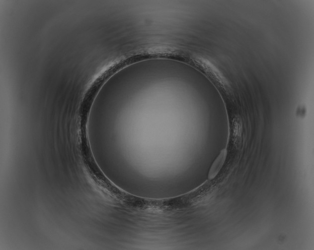 X0000091540684200708241734