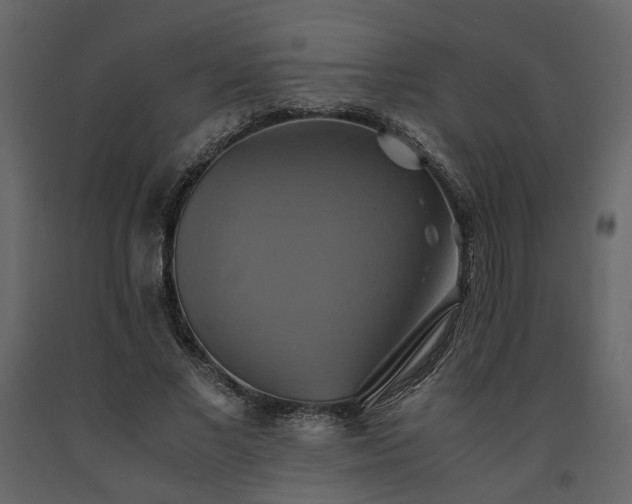 X0000091540685200708241734