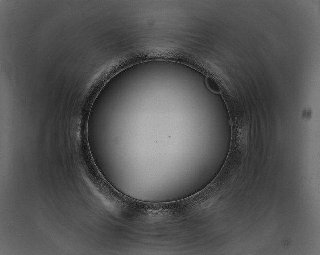 X0000091540686200708241734