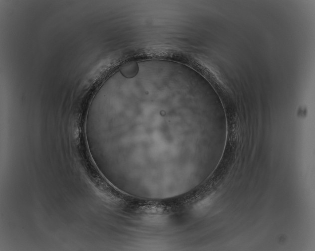 X0000091540687200708241734