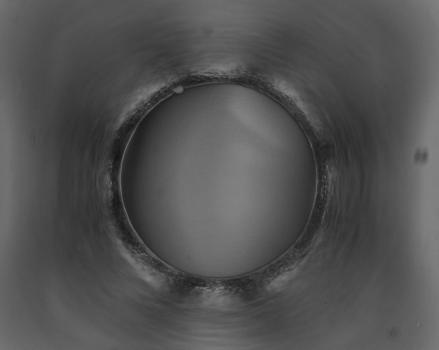 X0000091540688200708241734