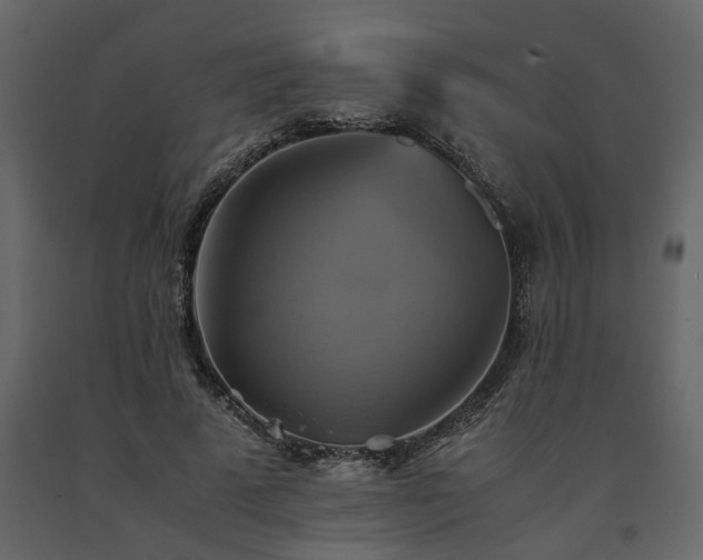 X0000091540689200708241734