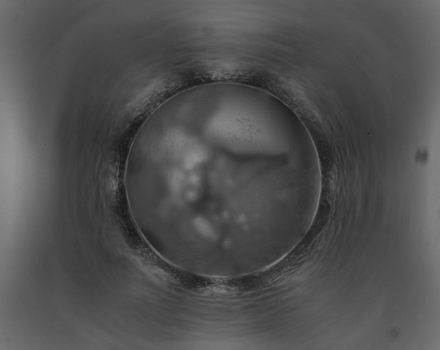 X0000091540691200708241734